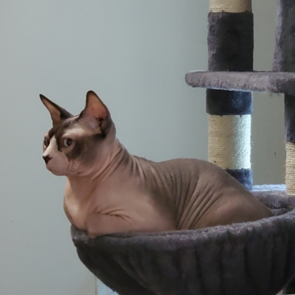 Meet your Posher, Sandra - Picture 8 of 14